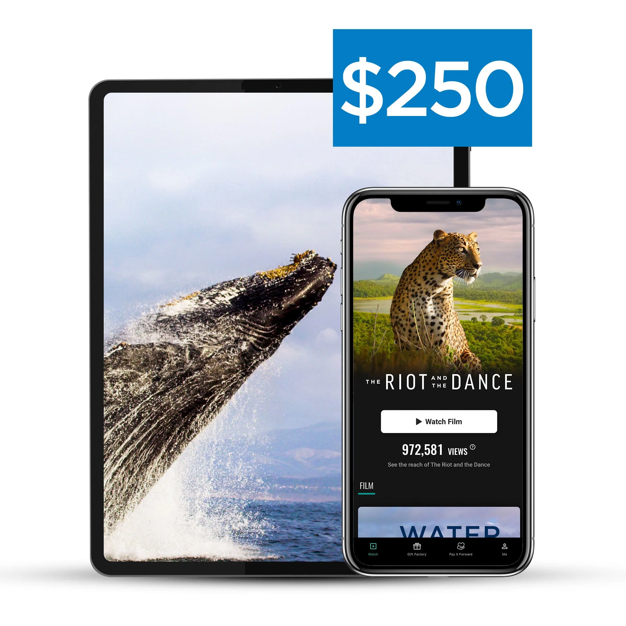 Riot & The Dance - Pay It Forward - Image 4