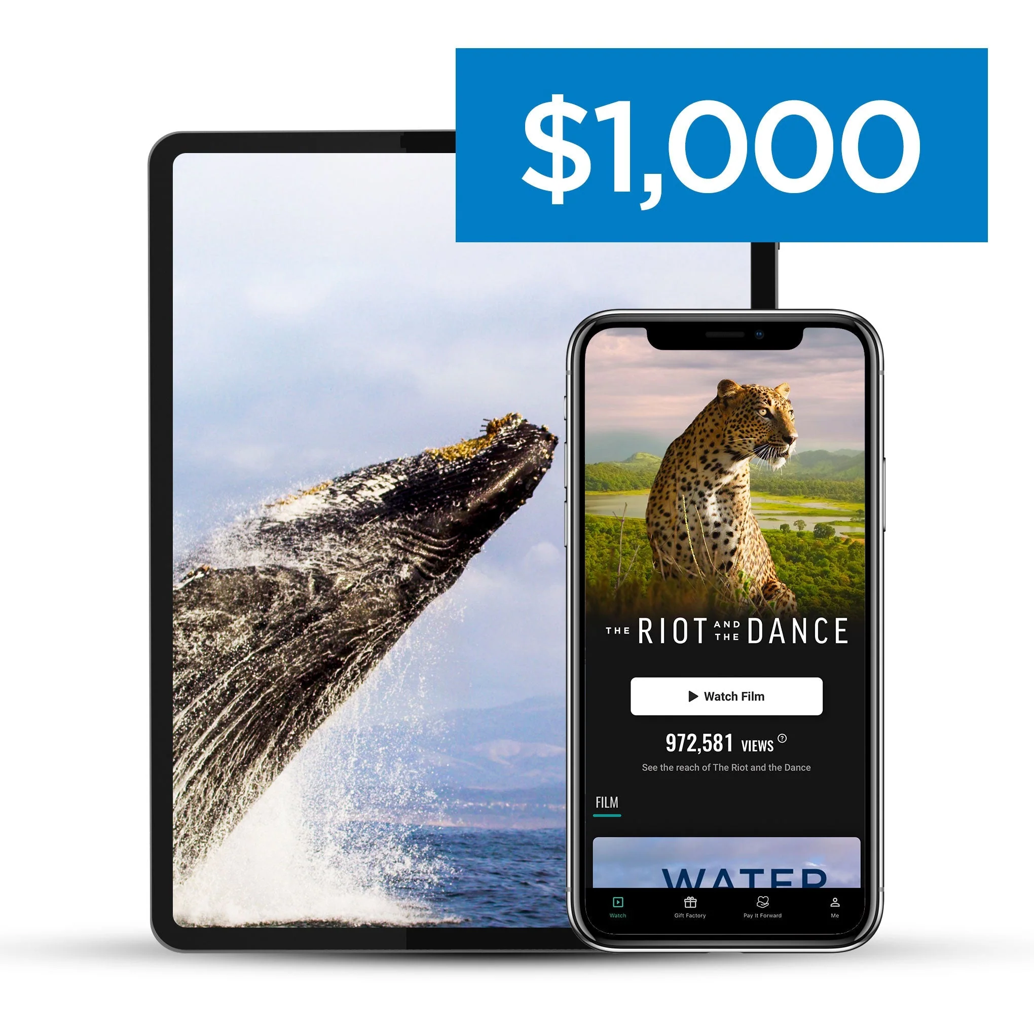 Riot & The Dance - Pay It Forward - Image 5