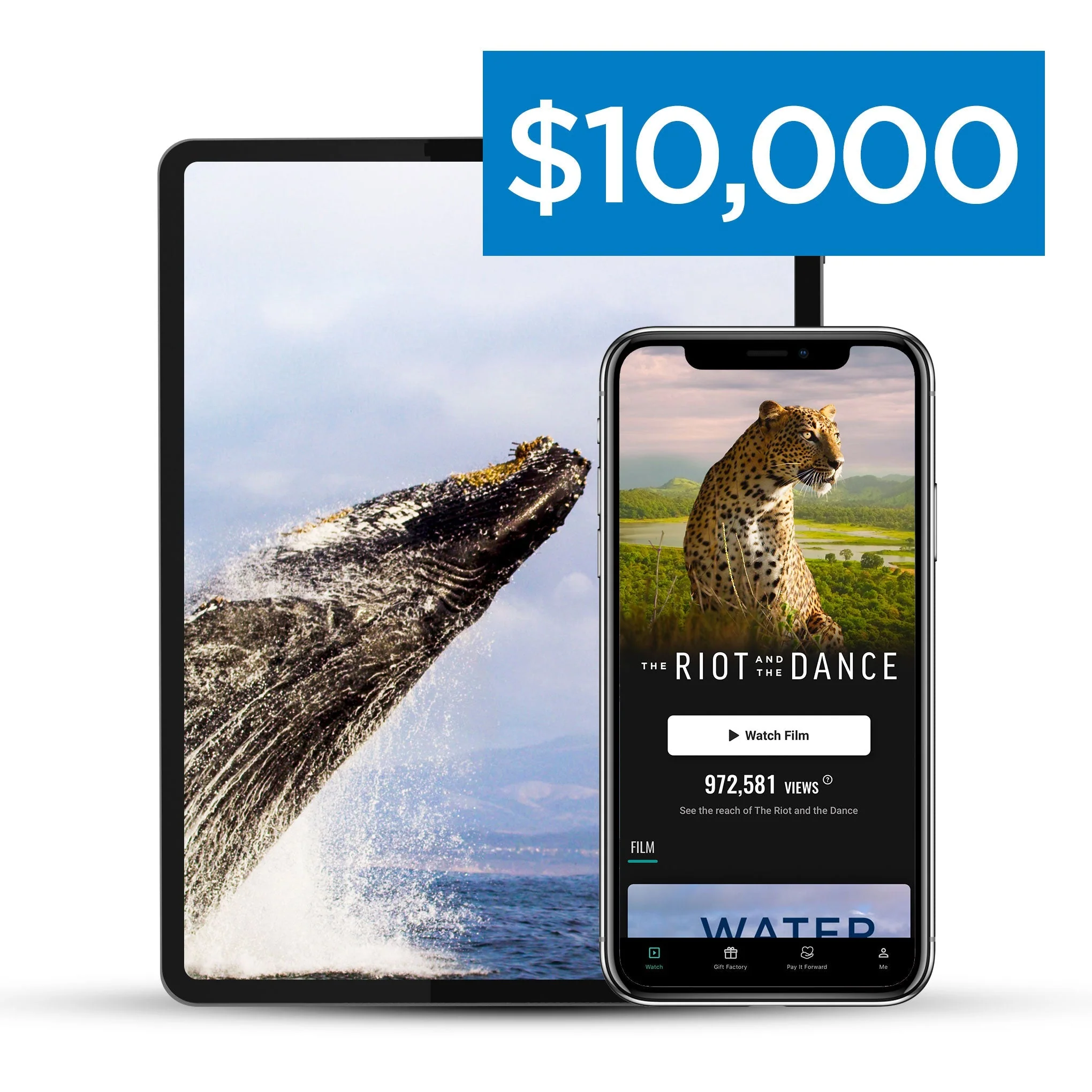 Riot & The Dance - Pay It Forward - Image 7