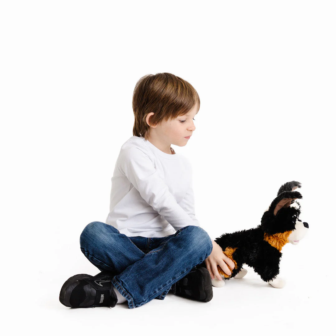 The Wingfeather Saga Plushie Bundle - Image 5